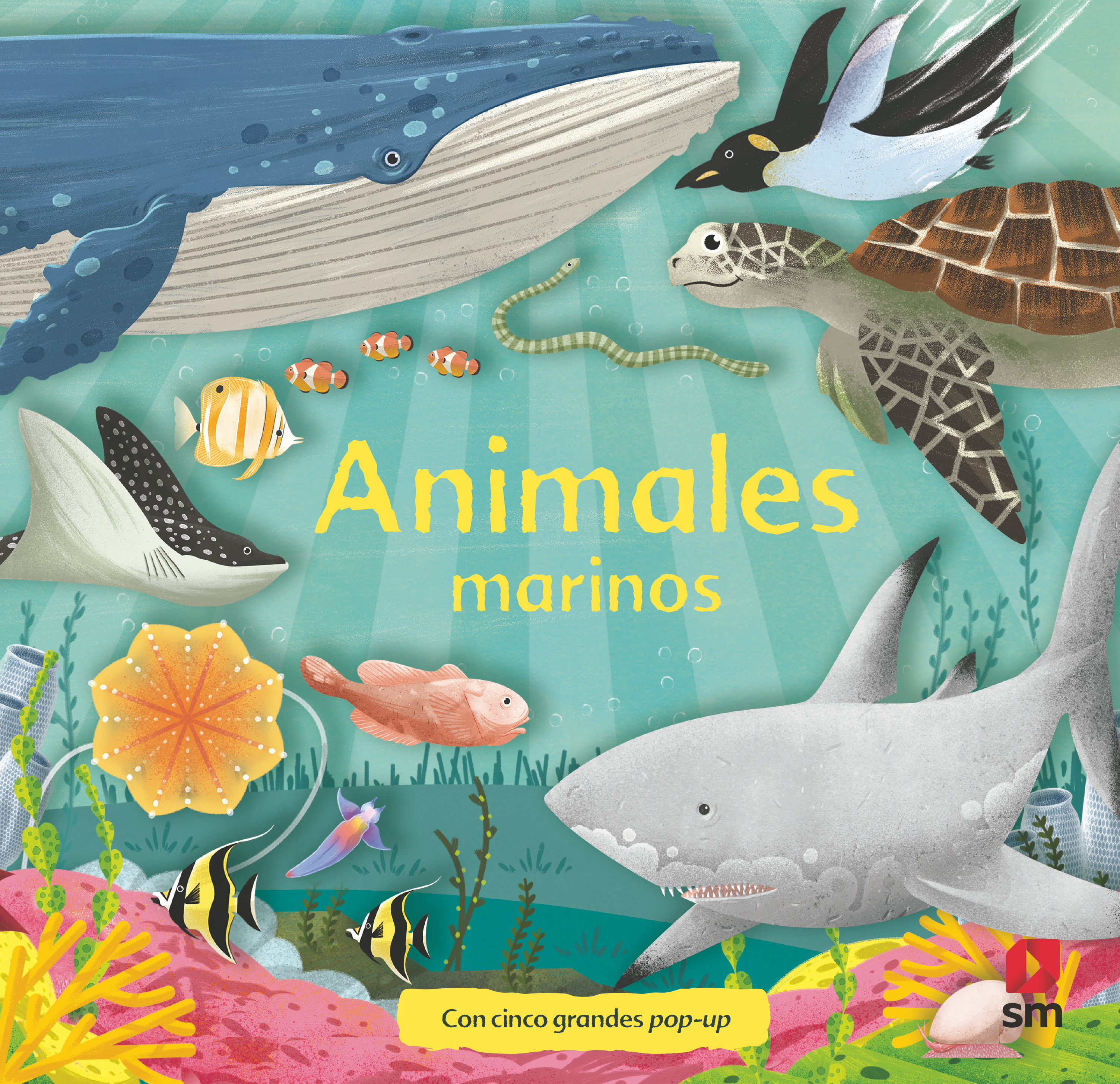 Animales Marinos-1