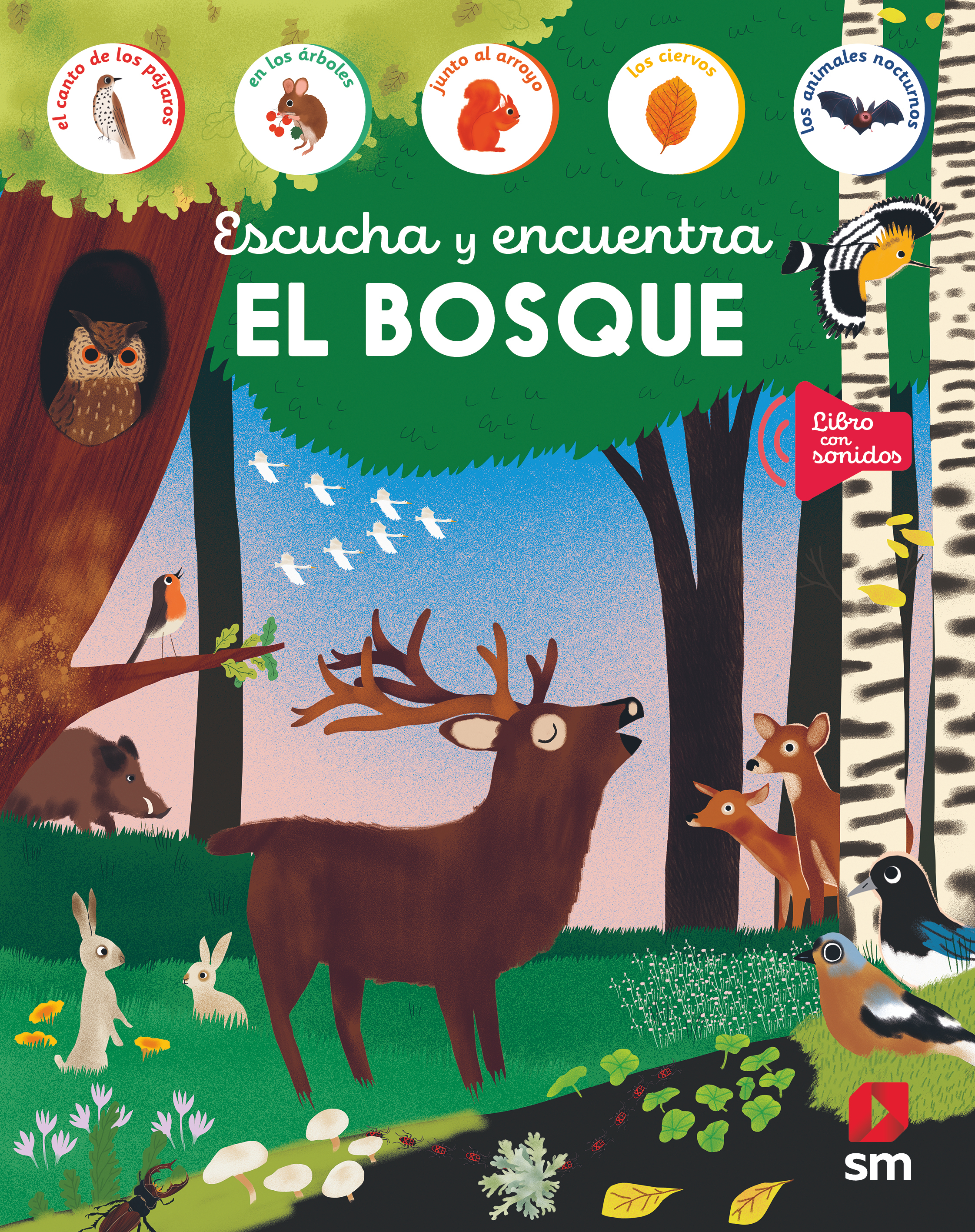 El Bosque-1